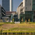 The Impact of Wars on Tarrant County's Development: An Expert's Perspective